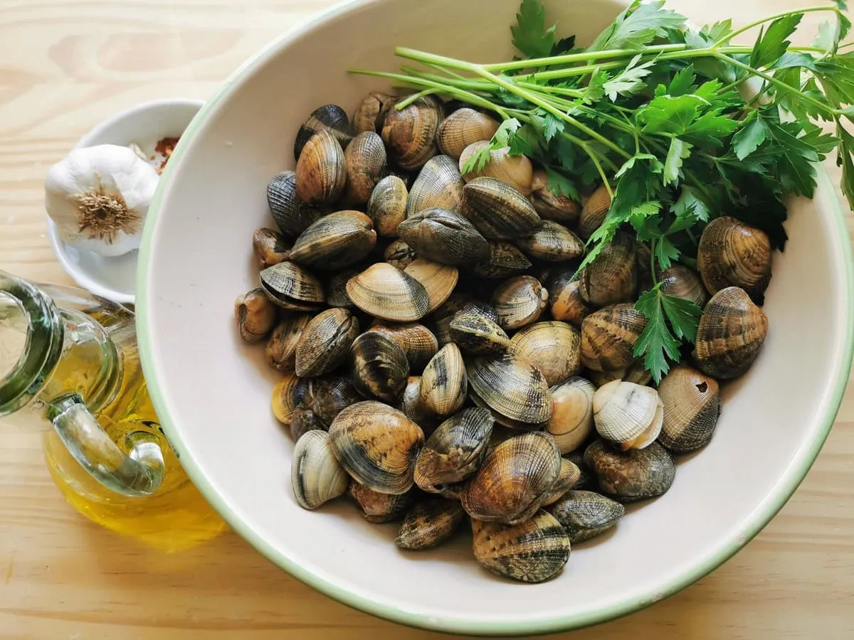Zutaten für Linguine alle Vongole: Muscheln, Olivenöl, Knoblauch, Petersilie und Peperoncino.
