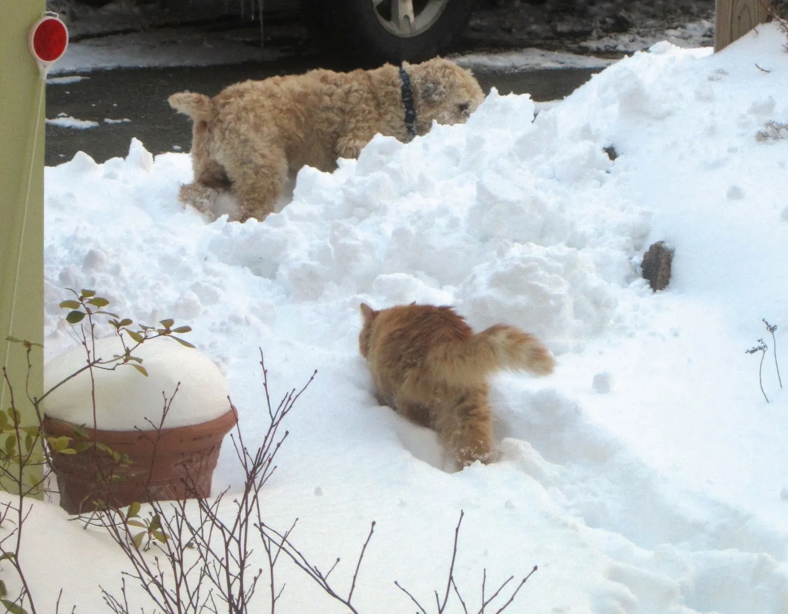 Zwei fröhliche Schneemänner im Winter, passend zur Stollenzeit